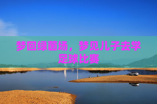 梦回绿茵场,梦见儿子去学足球比赛