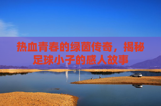 热血青春的绿茵传奇,揭秘足球小子的感人故事