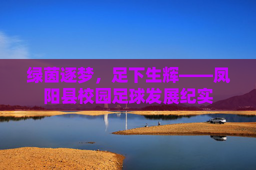 绿茵逐梦,足下生辉——凤阳县校园足球发展纪实