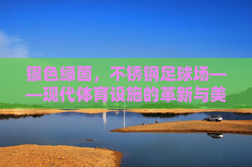 银色绿茵,不锈钢足球场——现代体育设施的革新与美学