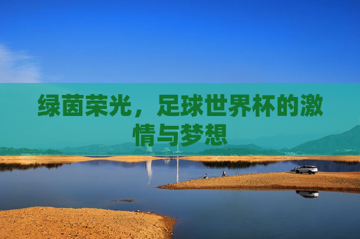 绿茵荣光,足球世界杯的激情与梦想