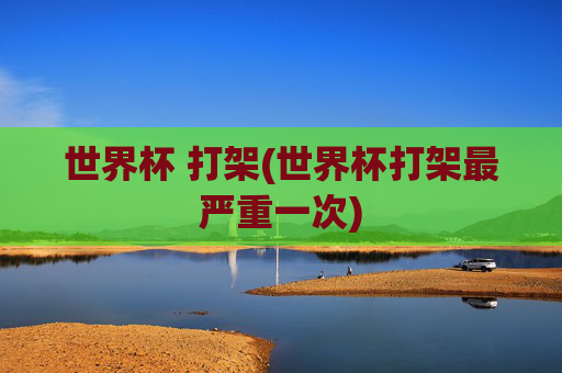 世界杯 打架(世界杯打架最严重一次)
