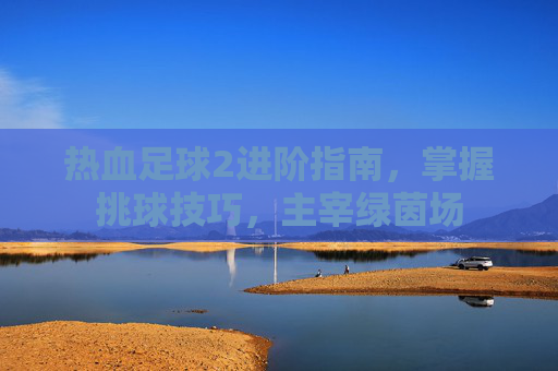 热血足球2进阶指南,掌握挑球技巧,主宰绿茵场
