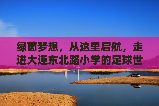 绿茵梦想,从这里启航,走进大连东北路小学的足球世界