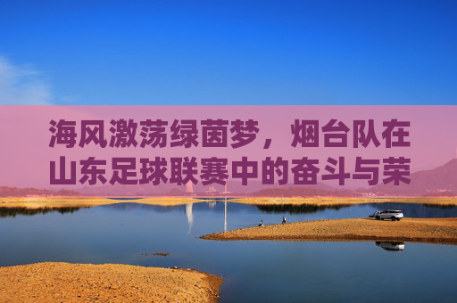 海风激荡绿茵梦,烟台队在山东足球联赛中的奋斗与荣光
