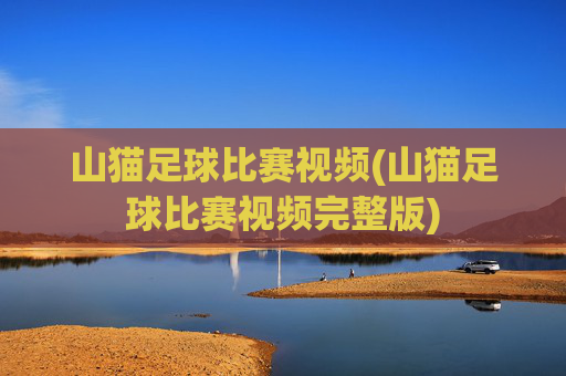 山猫足球比赛视频(山猫足球比赛视频完整版)