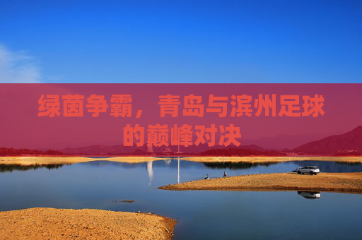 绿茵争霸,青岛与滨州足球的巅峰对决