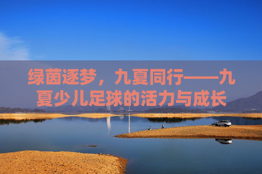 绿茵逐梦,九夏同行——九夏少儿足球的活力与成长