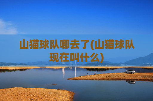 山猫球队哪去了(山猫球队现在叫什么)
