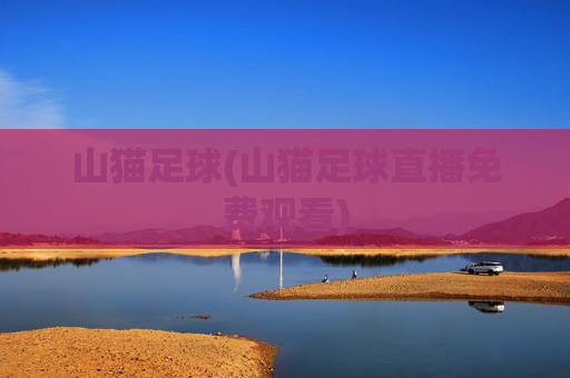 山猫足球(山猫足球直播免费观看)