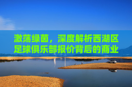 激荡绿茵,深度解析西湖区足球俱乐部报价背后的商业逻辑与投资价值