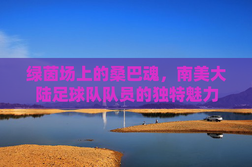 绿茵场上的桑巴魂,南美大陆足球队队员的独特魅力