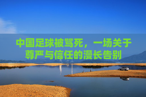 中国足球被骂死,一场关于尊严与信任的漫长告别