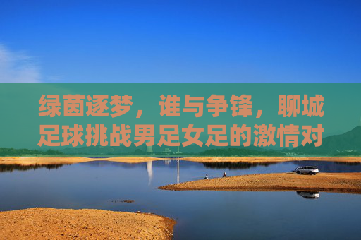 绿茵逐梦，谁与争锋，聊城足球挑战男足女足的激情对决