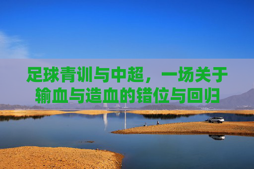 足球青训与中超,一场关于输血与造血的错位与回归