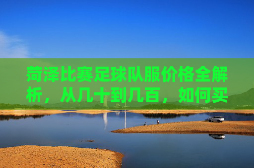 菏泽比赛足球队服价格全解析,从几十到几百,如何买到高性价比装备?