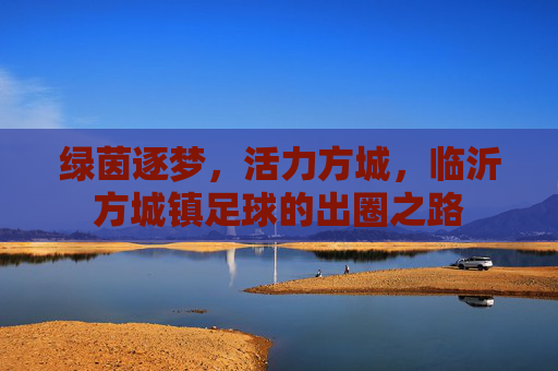 绿茵逐梦,活力方城,临沂方城镇足球的出圈之路