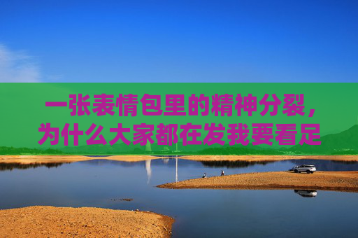 一张表情包里的精神分裂,为什么大家都在发我要看足球吗表情包?