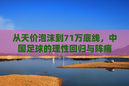 从天价泡沫到71万底线,中国足球的理性回归与阵痛