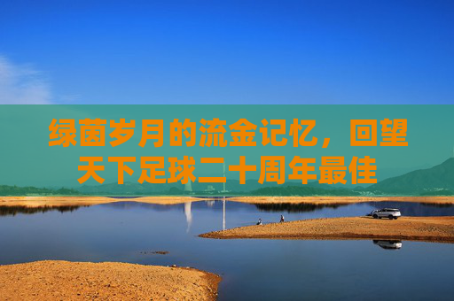 绿茵岁月的流金记忆,回望天下足球二十周年最佳