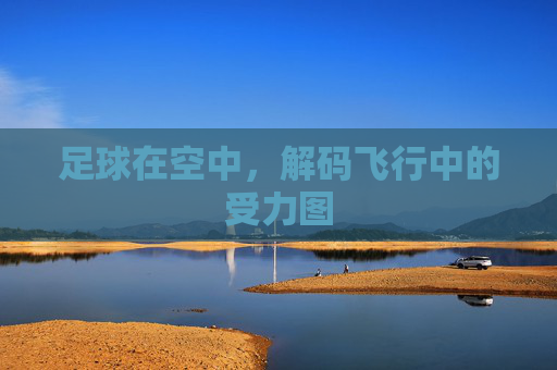 足球在空中,解码飞行中的受力图