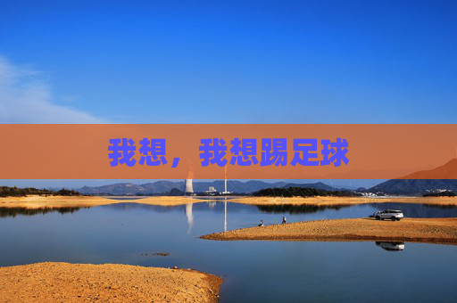 我想,我想踢足球