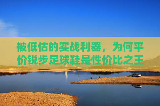 被低估的实战利器，为何平价锐步足球鞋是性价比之王？