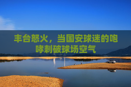 丰台怒火,当国安球迷的咆哮刺破球场空气