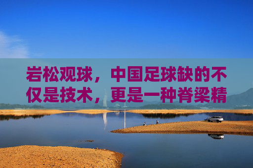 岩松观球,中国足球缺的不仅是技术,更是一种脊梁精神