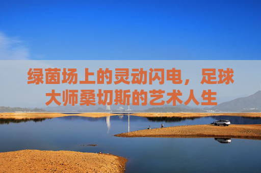 绿茵场上的灵动闪电，足球大师桑切斯的艺术人生