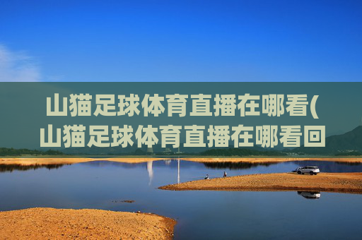 山猫足球体育直播在哪看(山猫足球体育直播在哪看回放)