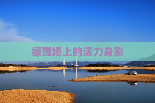 绿茵场上的活力身影
