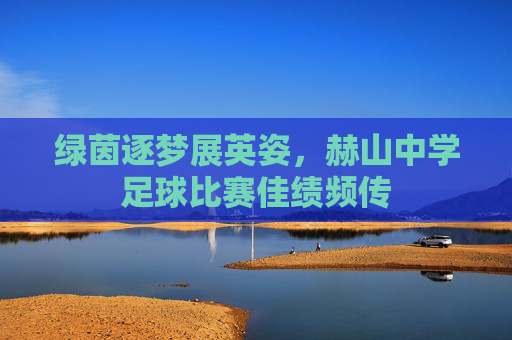 绿茵逐梦展英姿，赫山中学足球比赛佳绩频传