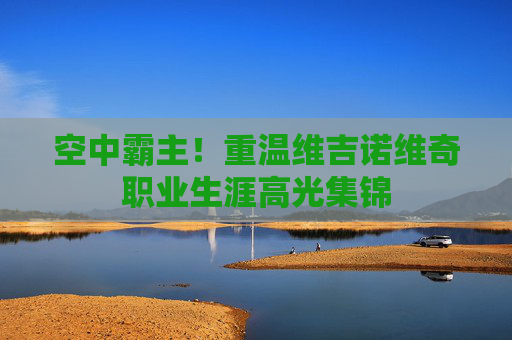 空中霸主!重温维吉诺维奇职业生涯高光集锦