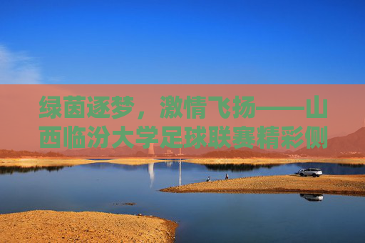 绿茵逐梦，激情飞扬——山西临汾大学足球联赛精彩侧记