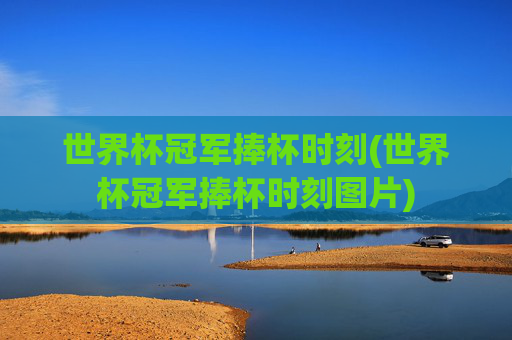 世界杯冠军捧杯时刻(世界杯冠军捧杯时刻图片)