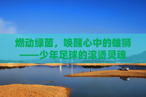 燃动绿茵，唤醒心中的雄狮——少年足球的滚烫灵魂