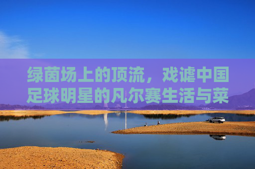 绿茵场上的顶流，戏谑中国足球明星的凡尔赛生活与菜鸡表现