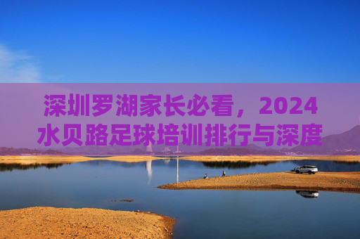 深圳罗湖家长必看,2024水贝路足球培训排行与深度测评