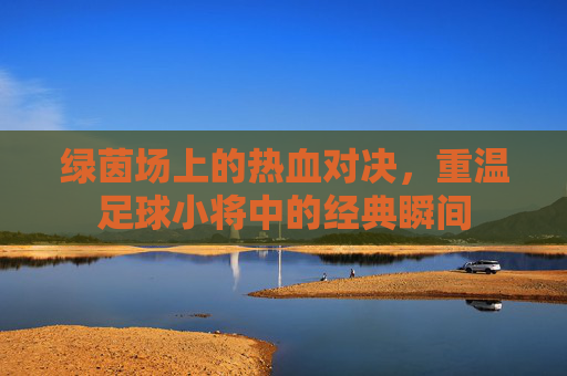 绿茵场上的热血对决,重温足球小将中的经典瞬间