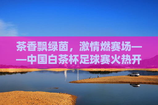茶香飘绿茵,激情燃赛场——中国白茶杯足球赛火热开赛