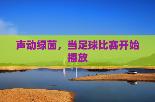 声动绿茵，当足球比赛开始播放