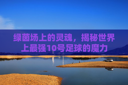 绿茵场上的灵魂,揭秘世界上最强10号足球的魔力