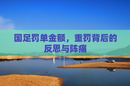 国足罚单金额,重罚背后的反思与阵痛