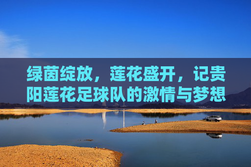 绿茵绽放，莲花盛开，记贵阳莲花足球队的激情与梦想