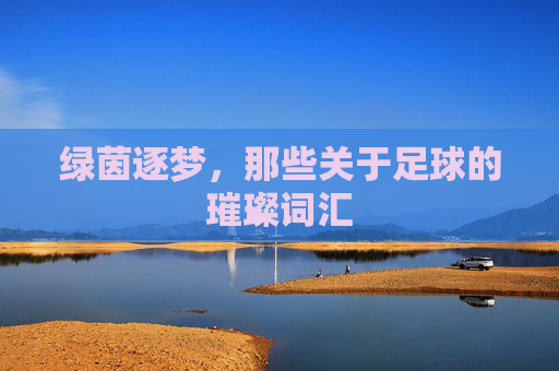 绿茵逐梦,那些关于足球的璀璨词汇