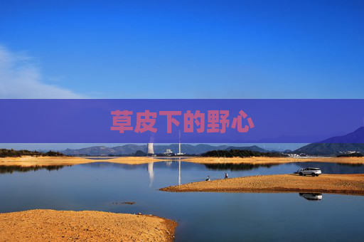 草皮下的野心