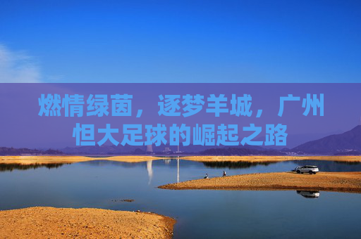 燃情绿茵，逐梦羊城，广州怛大足球的崛起之路