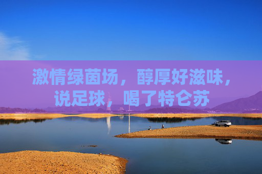 激情绿茵场，醇厚好滋味，说足球，喝了特仑苏