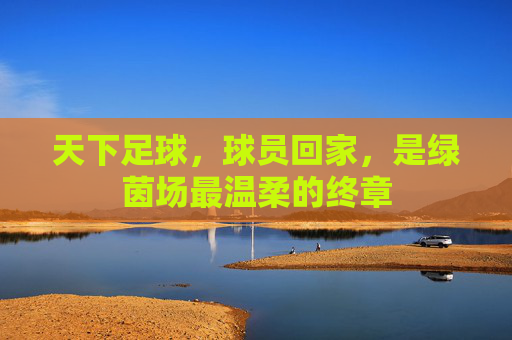 天下足球,球员回家,是绿茵场最温柔的终章